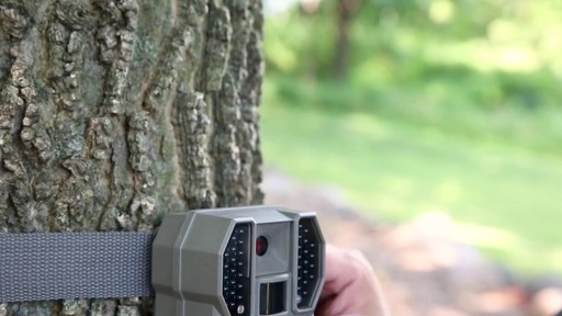 Stealth Cam RX36NG Trail / Game Camera - image 3 from the video
